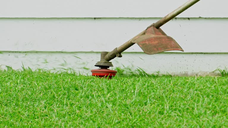 Best Lawn Disease Treatment  in Kaukauna, WI