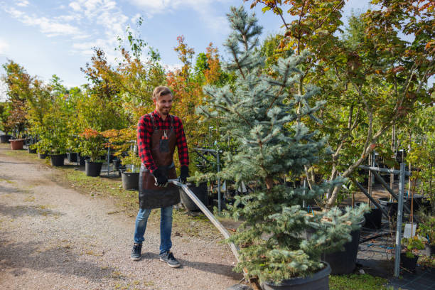 Best Lawn Watering Services  in Kaukauna, WI
